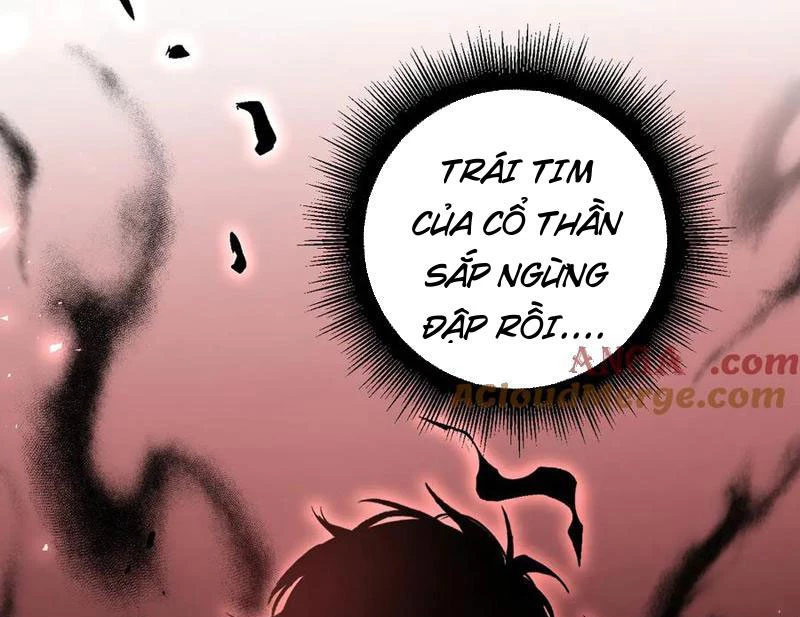 ta là chúa tể trùng độc Chapter 37 - Trang 2